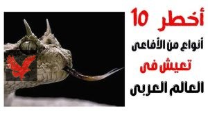 أخطر الثعابين السامة في صحاري مصر