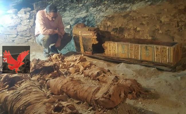 المصريين هيعدوا الفقر .. حضارة بتصحى من جديد اكتشاف أكبر كنز أثري في مصر مدفون تحت الارض.. سوف تصدم دول الخليج