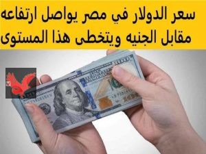 سعر الدولار مقابل الجنيه المصري اليوم السبت 24 مايو