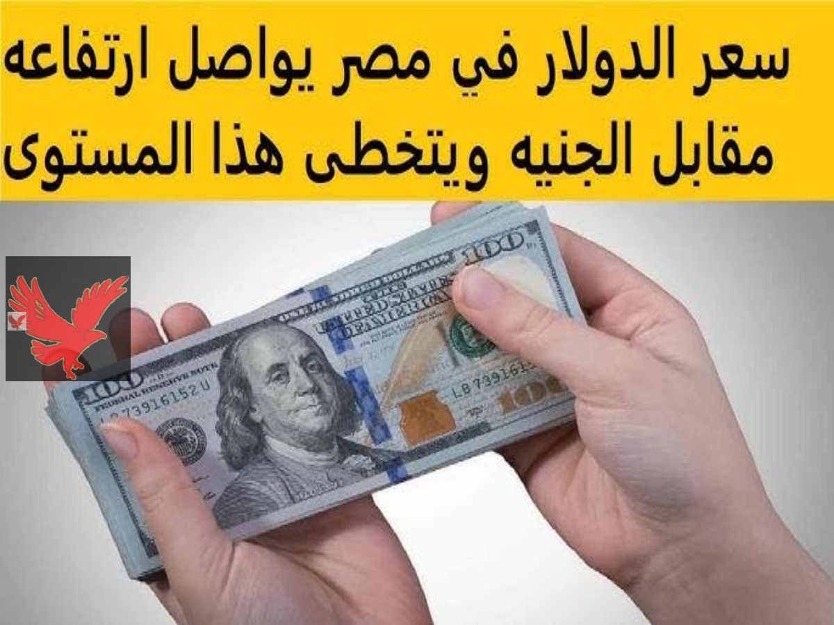 «كم سعر 100 دولار في السوق السوداء؟» .. سعر الدولار مقابل الجنيه اليوم السبت 24 مايو مفاجآت بعد خفض الفائدة.. الدولار يكسر حاجز 50!