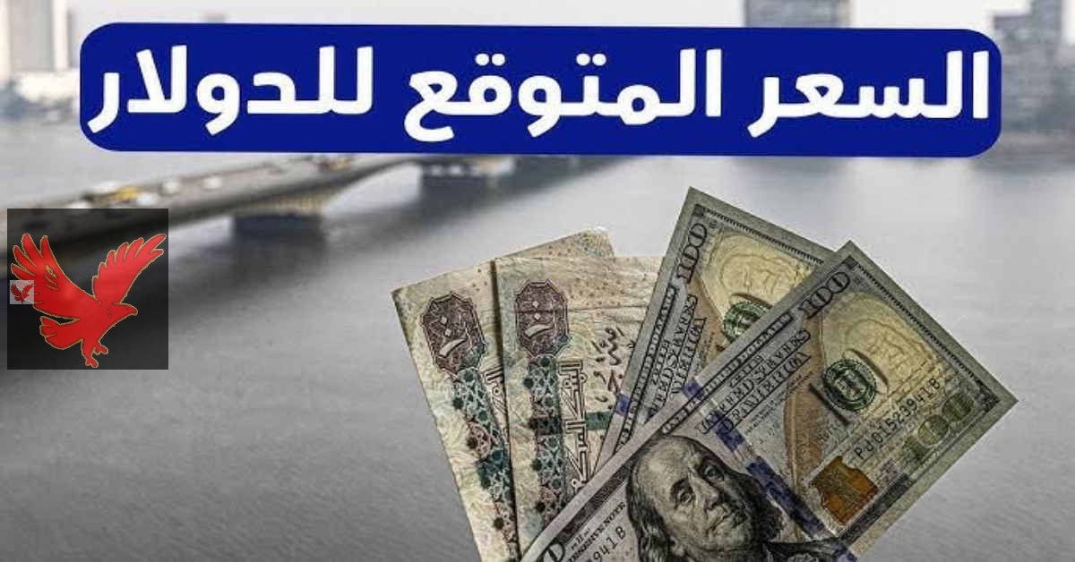 الدولار النهاردة بكام؟ سعر الدولار مقابل الجنيه المصري اليوم الثلاثاء 20 مايو 2025.. لأول مرة أقل من 50 جنيه