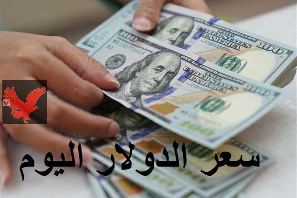 كم سعر 100 دولار في السوق السوداء .. سعر الدولار مقابل الجنيه المصري اليوم الثلاثاء 13 مايو 2025 في البنوك المصرية
