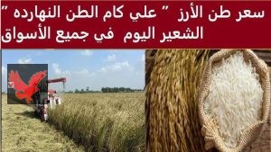 سعر طن الأرز الشعير اليوم 11 مايو 2025 آخر تحديث للسعر