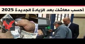 عدية السيسي للمصريين .. عاجل قرار تاريخي من الحكومة يُسعد ملايين زيادة المعاشات وتكافل وكرامة.. اعرف هتقبض كام
