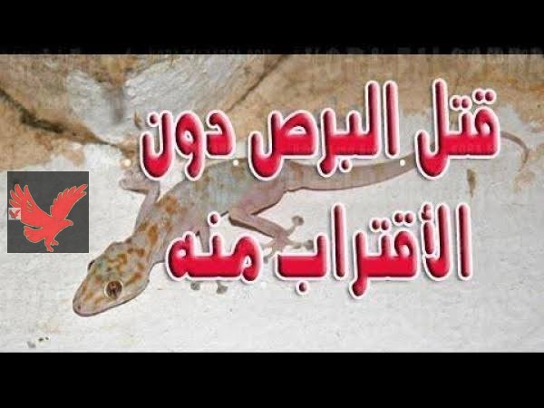 «طريقة لا تخطر على بال الجن نفسه؟!».. طريقة فعالة علي كد الايد للتخلص من البرص في 5 دقائق بس.. جربها بنفسك ولن تندم أبدا!